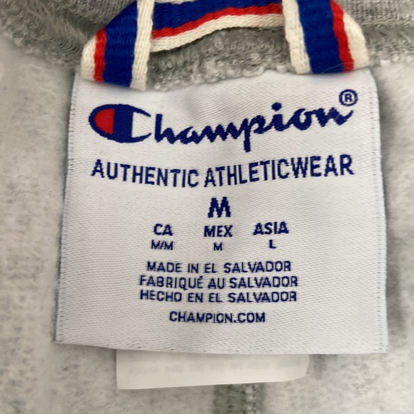 Gray Champion Sweatpants - Picture 3 of 6